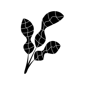 Moral Leave, Stem, Botanical, Nature, Plant, icon