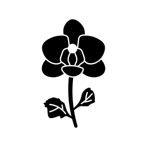 Orchid Flower, Floral, Botanical, Nature, Blooming icon