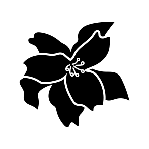 Orchid Flower, Floral, Nature, Plant, Botanical icon