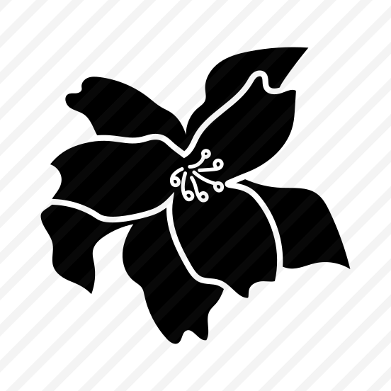 Orchid Flower, Floral, Nature, Plant, Botanical preview