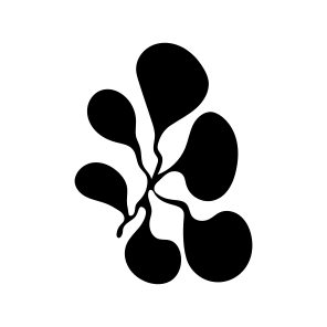 Orchid Plant, Botanical, Floral, Nature, Plant, icon