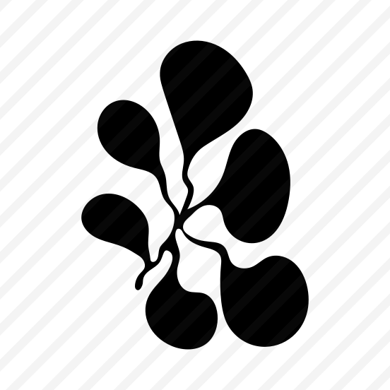 Orchid Plant, Botanical, Floral, Nature, Plant, preview