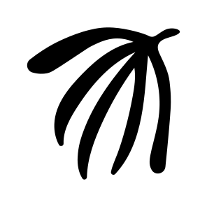 Palm Leaf, Nature, Plant, Botanical, Foliage icon