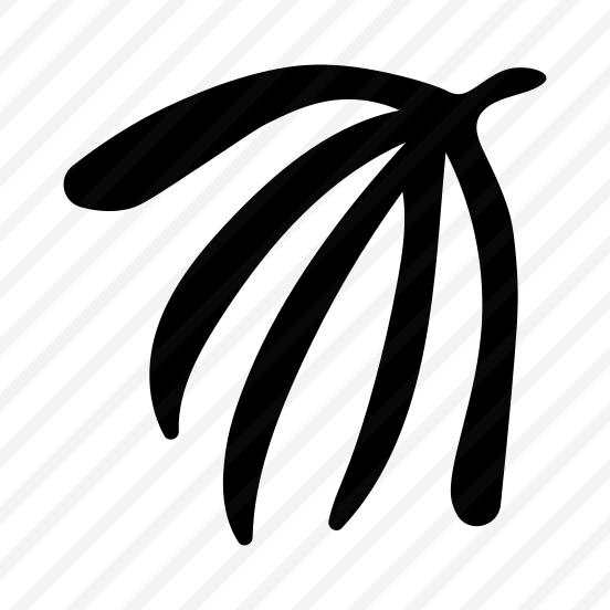 Palm Leaf, Nature, Plant, Botanical, Foliage preview