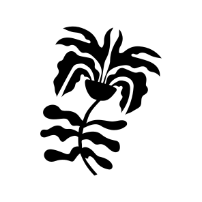 Palm Plant, Botanical, Nature, Plant, Foliage icon