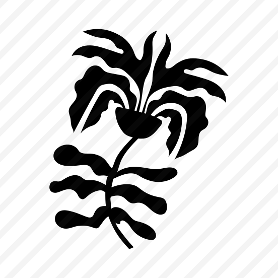 Palm Plant, Botanical, Nature, Plant, Foliage preview