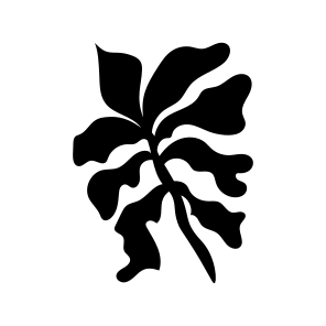Papaya Leaf, Nature, Plant, Botanical, Leafage icon