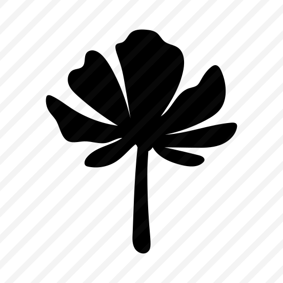 Petal Flower, Floral, Nature, Plant, Botanical preview