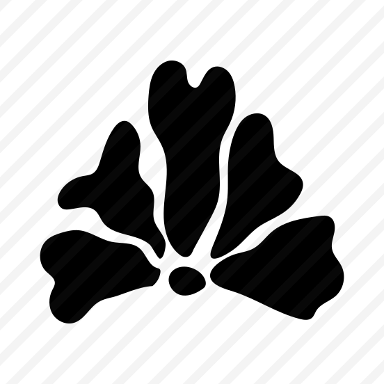 Petals, Floral, Botanical, Nature, Blooming preview