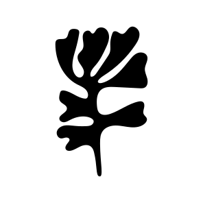 Plant, Nature, Blooming, Leafage, Stem icon