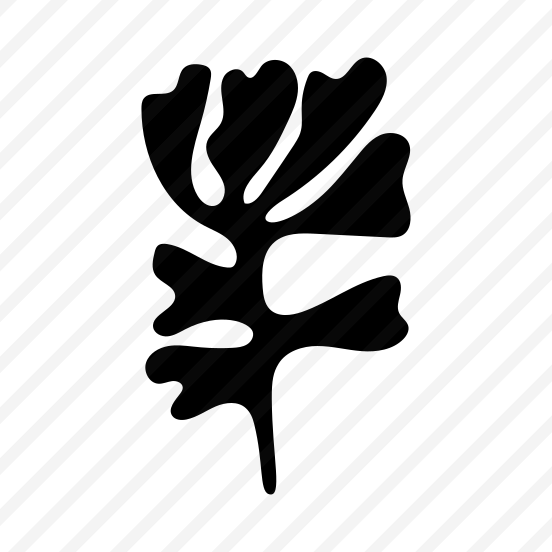 Plant, Nature, Blooming, Leafage, Stem preview