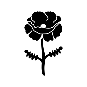 Poppy Flower, Floral, Botanical, Nature, Blooming icon