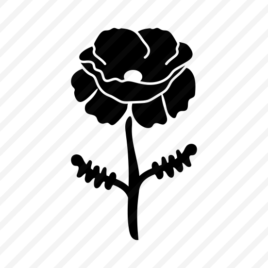 Poppy Flower, Floral, Botanical, Nature, Blooming preview