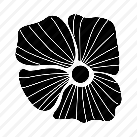 Poppy Flower, Floral, Nature, Plant, Blooming preview