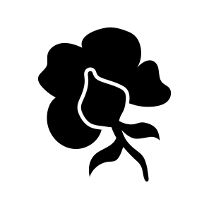 Poppy Flower, Floral, Nature, Plant, Botanical icon