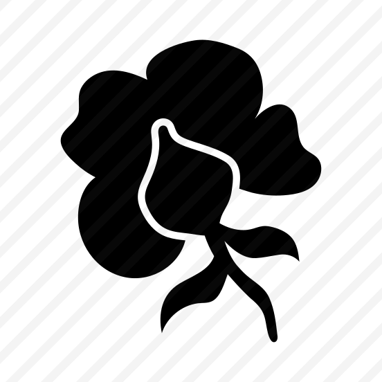 Poppy Flower, Floral, Nature, Plant, Botanical preview