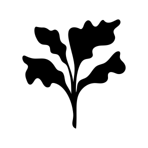 Rhubarb Plant, Botanical, Nature, Plant, Leafage icon