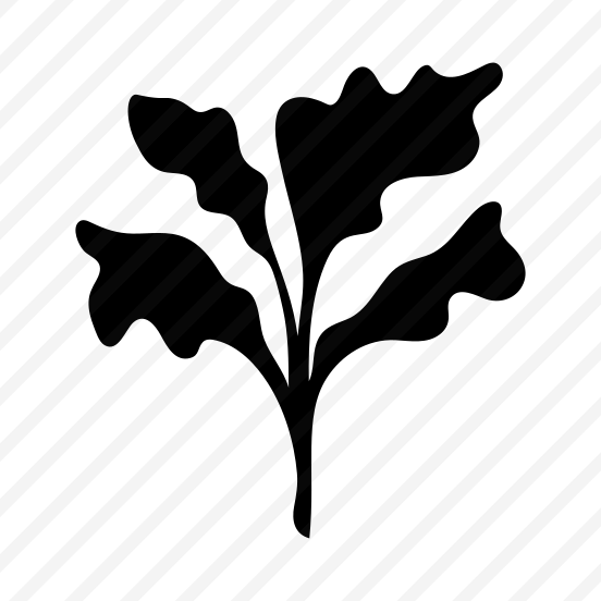 Rhubarb Plant, Botanical, Nature, Plant, Leafage preview