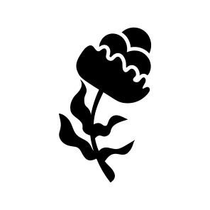 Rose, Flower, Floral, Nature, Plant, icon