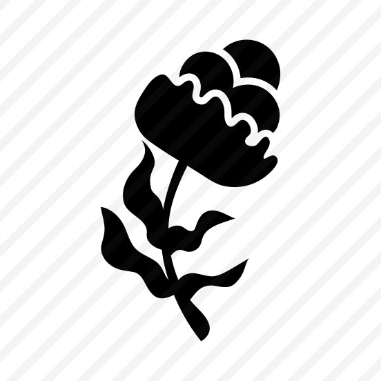 Rose, Flower, Floral, Nature, Plant, preview