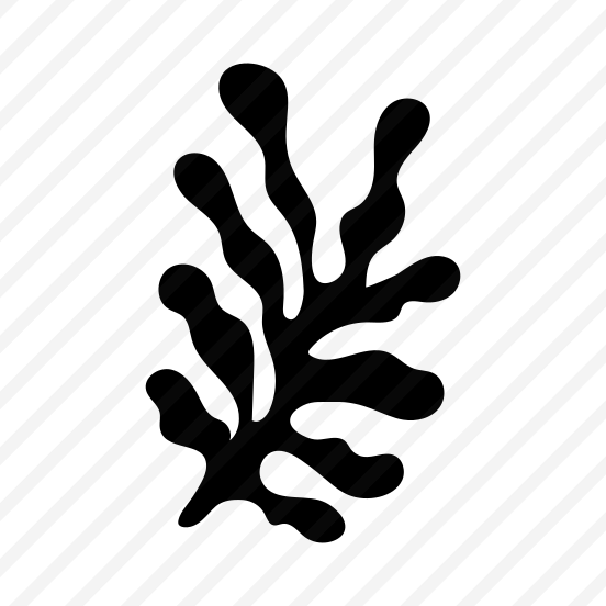 Seaweed, Botanical, Nature, Plant, Foliage preview