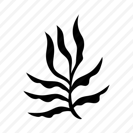 Seaweed, Botanical, Nature, Plant, Foliage,icons preview