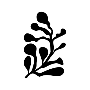 Seaweed, Botanical, Nature, Plant, Foliage,vector icon