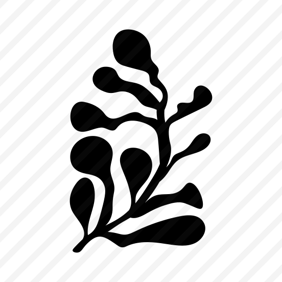 Seaweed, Botanical, Nature, Plant, Foliage,vector preview