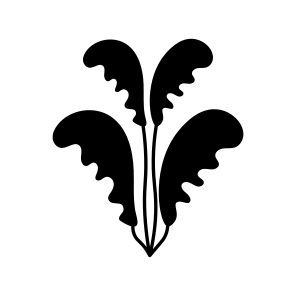 Seaweed, Nature, Plant, Botanical, Foliage,icons icon