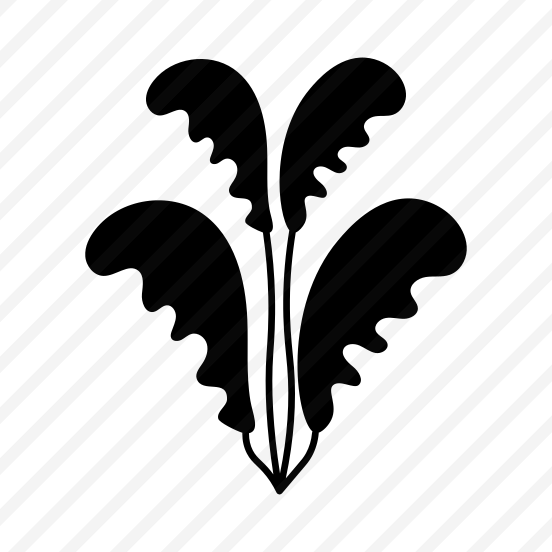 Seaweed, Nature, Plant, Botanical, Foliage,icons preview