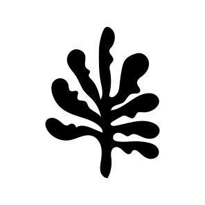 Seaweed, Nature, Plant, Foliage, Botanical icon