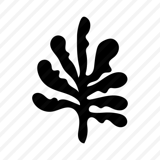 Seaweed, Nature, Plant, Foliage, Botanical preview