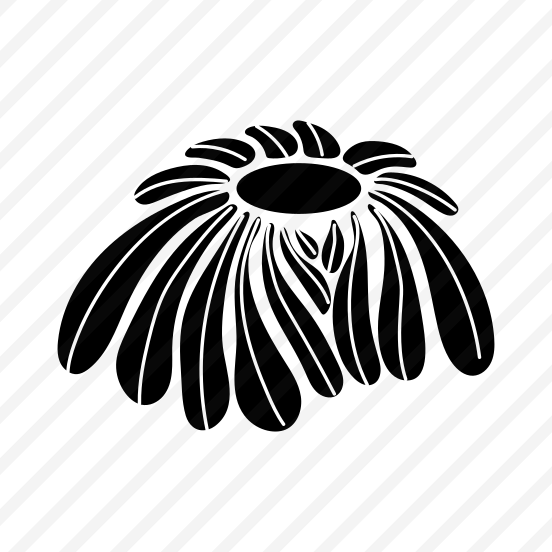 Spring Flower, Floral, Nature, Plant, Blooming preview