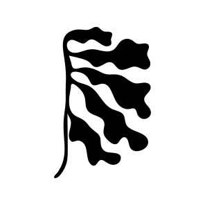 Spruce Branch, Nature, Plant, Botanical, Foliage icon
