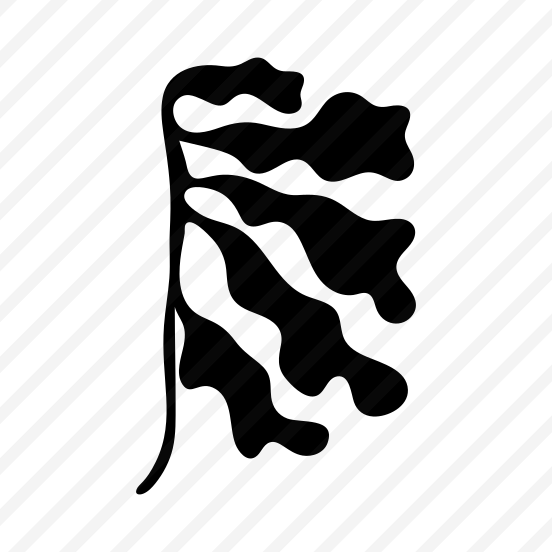 Spruce Branch, Nature, Plant, Botanical, Foliage preview