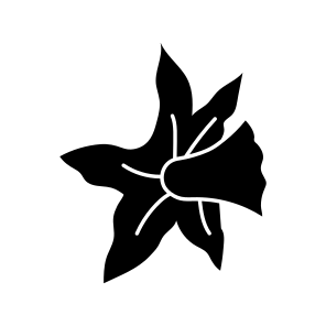 Star Flower, Floral, Nature, Plant, Botanical icon