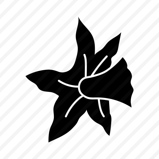 Star Flower, Floral, Nature, Plant, Botanical preview