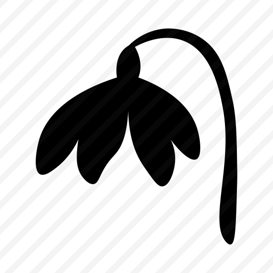 Titled Flower, Floral, Nature, Plant, Blooming preview