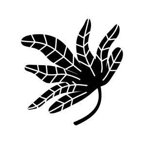 Tropical Leaf, Nature, Plant, Botanical, Foliage icon