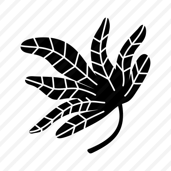 Tropical Leaf, Nature, Plant, Botanical, Foliage preview
