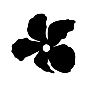 Vinca Flower, Floral, Nature, Plant, Blooming icon