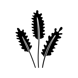 Wheat Leaf, Botanical, Nature, Plant, Foliage icon