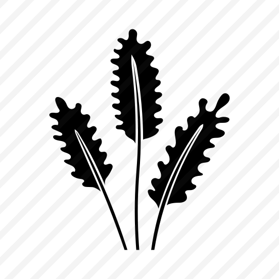 Wheat Leaf, Botanical, Nature, Plant, Foliage preview
