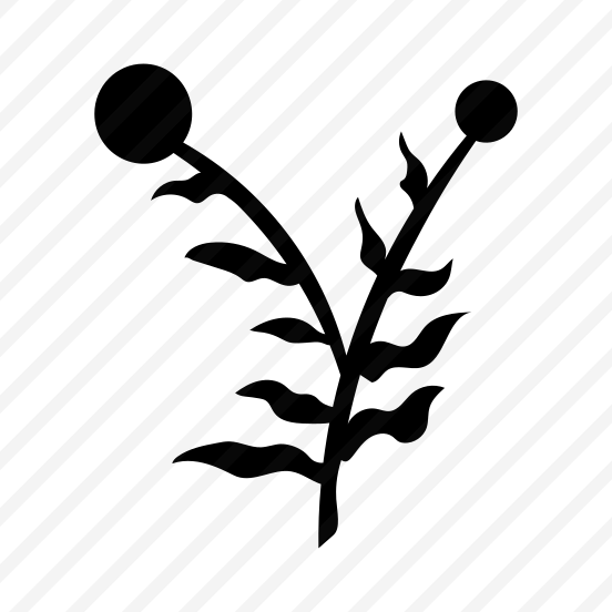 Wildflower, Floral, Nature, Plant, Botanical preview