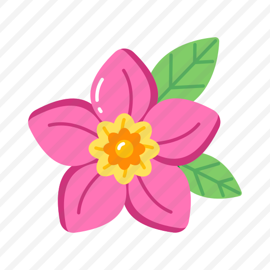 Blooming Plumeria, Flower, Blossom, Tropical, Floral preview