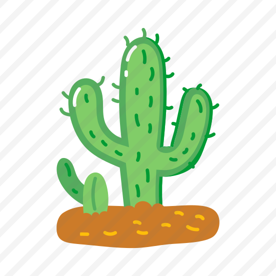 Cactus, Plant, Succulent, Desert, Cacti preview