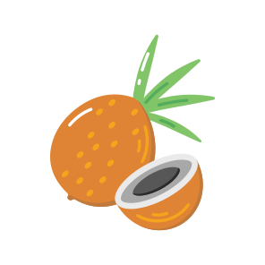Coconut, Fruit, Tropical, Edible, Food, icon