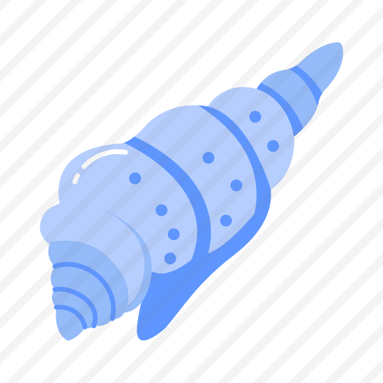 Ocean Shell, Conch, Seashell, Aquatic, Souvenir preview