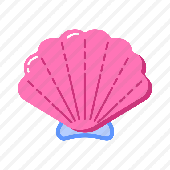 Seashell, Souvenir, Mollusk, Collector, Aquatic preview