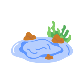 Tidal Pool, Poolside, Coast, Outdoor, Summer icon